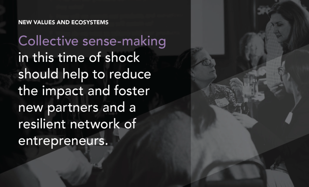 Text reads: New Values and Ecosystems: Collective sense-making in this time of shock should help to reduce the impact and foster new partners and a resilient network of entrepreneurs.